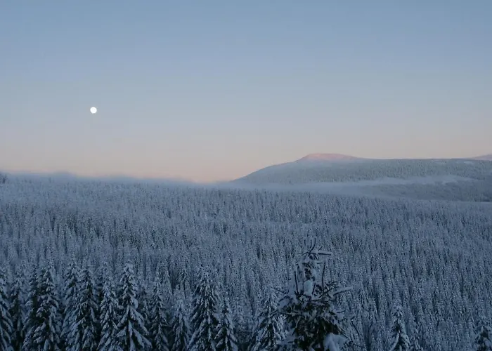 Affittacamere Horská Chata Sedmidolí 3*